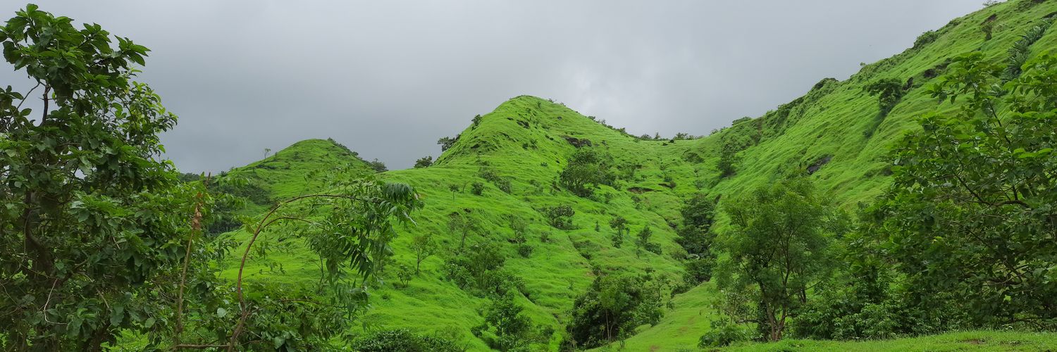 sitara168's profile banner image