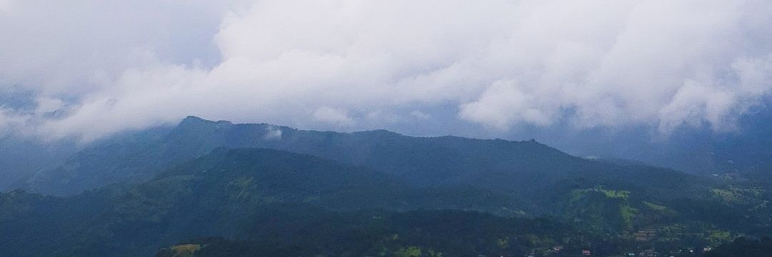 vasewww's profile banner image