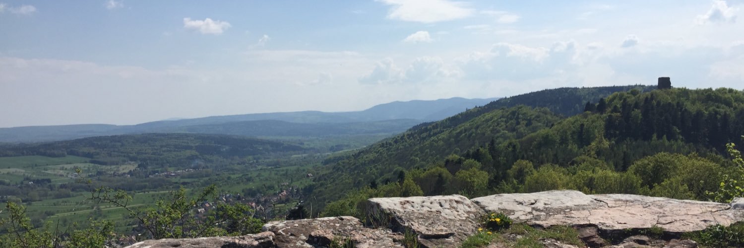 SebastianBoesel's profile banner image