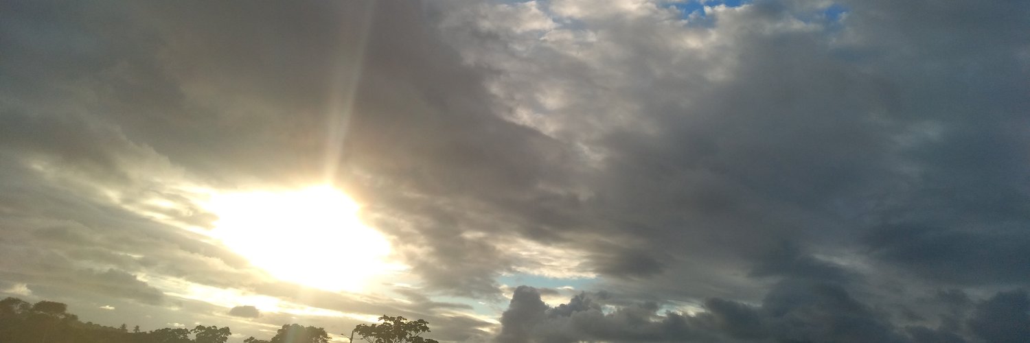 Neryvall's profile banner image