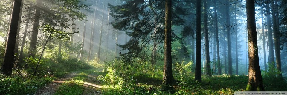 fx_beats's profile banner image