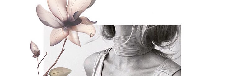 LittleFashBird's profile banner image