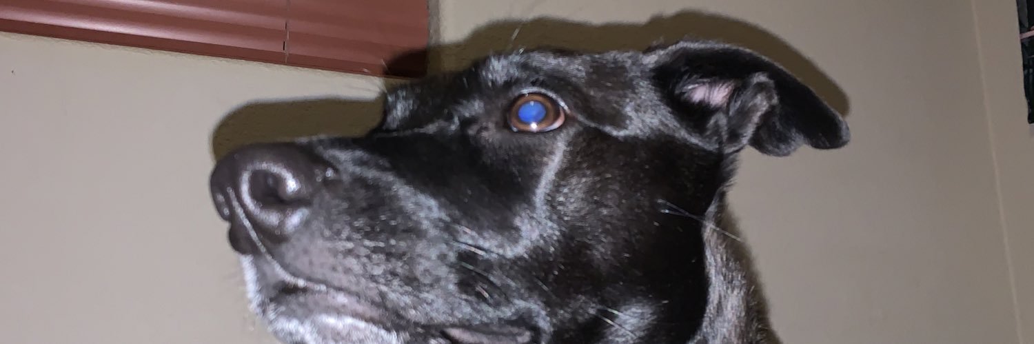 lainigeorge's profile banner image