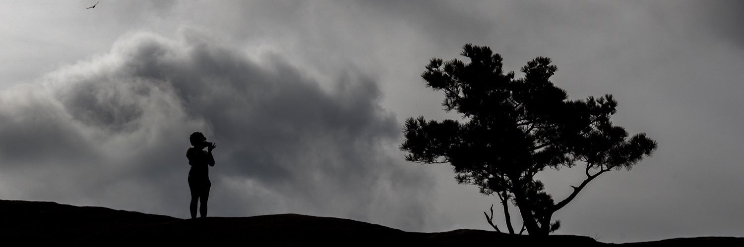 Brandon E Richardson banner