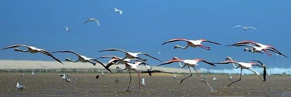 Winelands Profile Banner