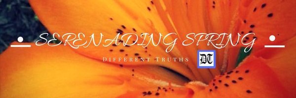 differenttruth2 Profile Banner