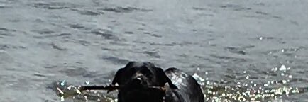 algy71's profile banner image