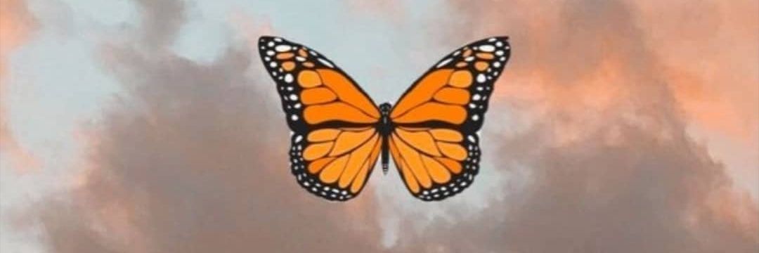 CaamiGala's profile banner image