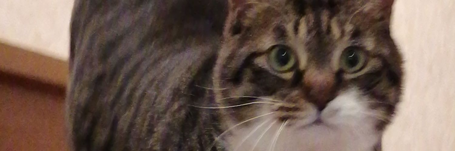 sp_tre_'s profile banner image