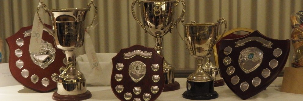 Castleyons Juv GAA banner