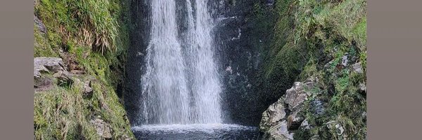 edorts80 Profile Banner