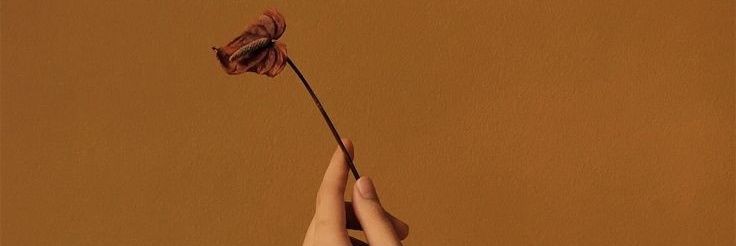 tindoong's profile banner image