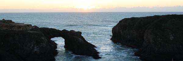 BORN_SF Profile Banner