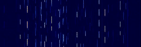 ryzerth Profile Banner