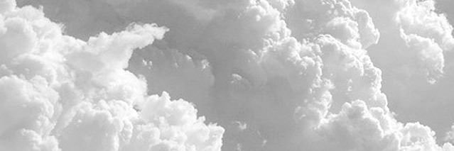 rabbit_pink24's profile banner image