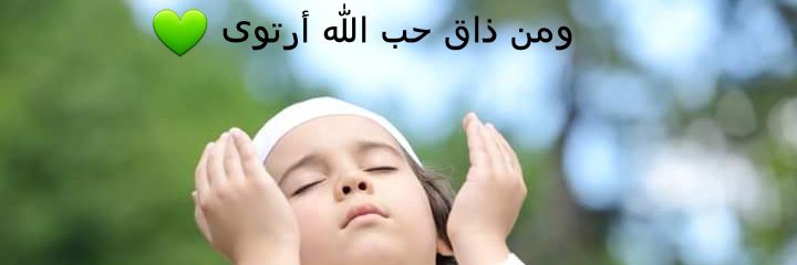 Alaa Mekky banner