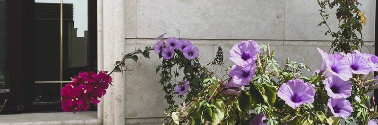 iReemani__'s profile banner image