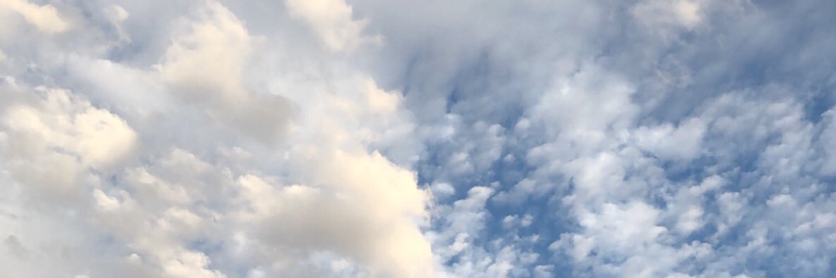 _20NORA's profile banner image