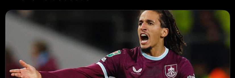 Bonzo 🇹🇳 banner