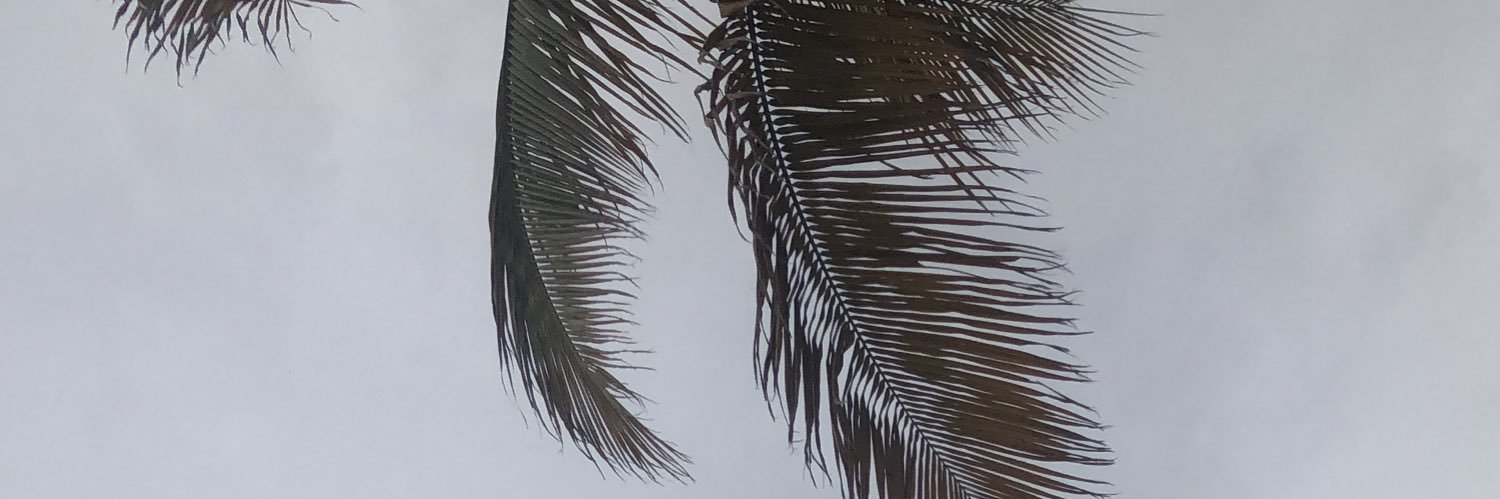 eztef_kno's profile banner image