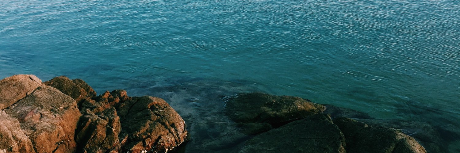 howdeepjulia's profile banner image