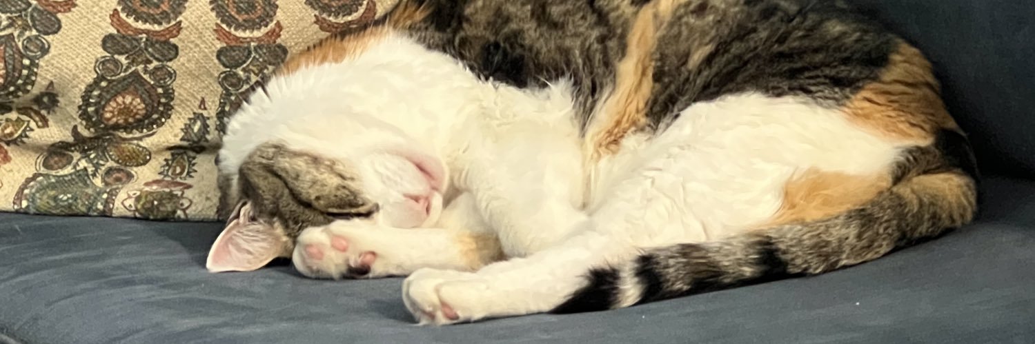 Context & Nuance banner