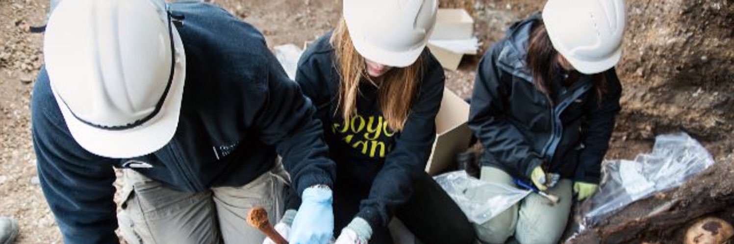 Sarah Holloway banner