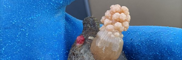 Emmeb8 Profile Banner