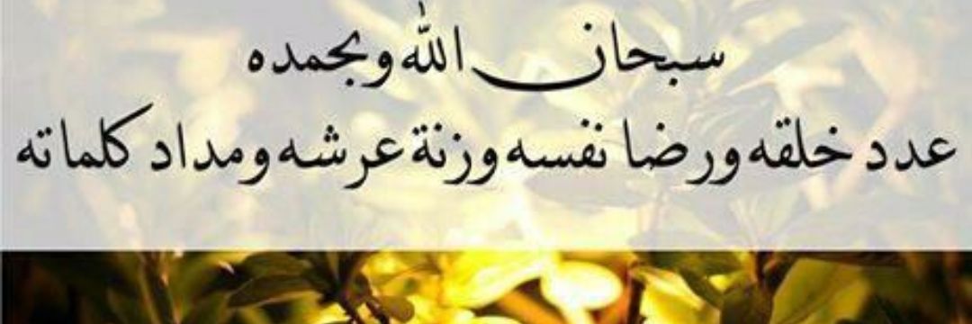 shbab4341's profile banner image