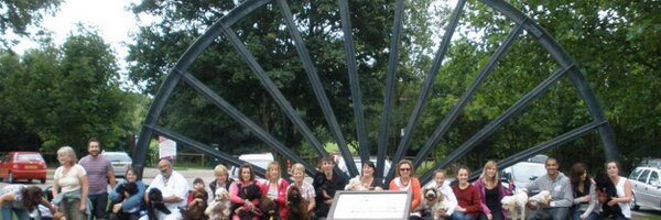 CockapooClubGB Profile Banner