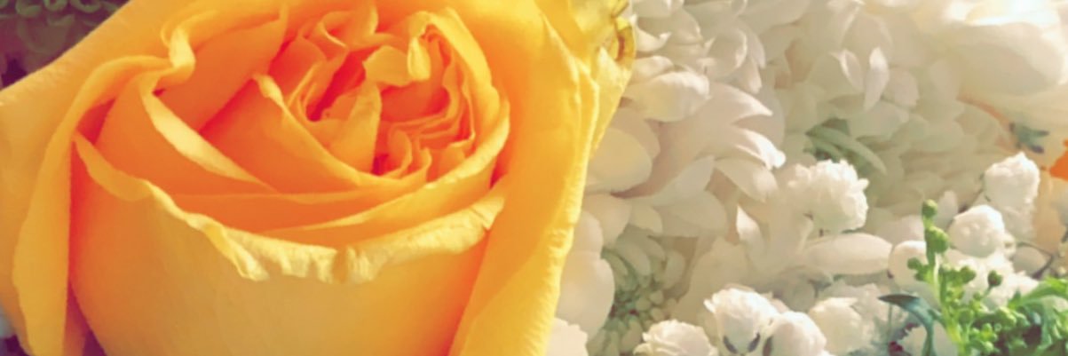 Beentaboha's profile banner image