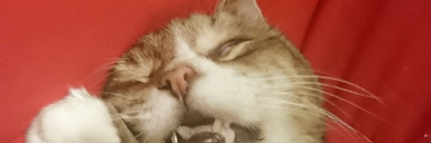 Mobinztime's profile banner image