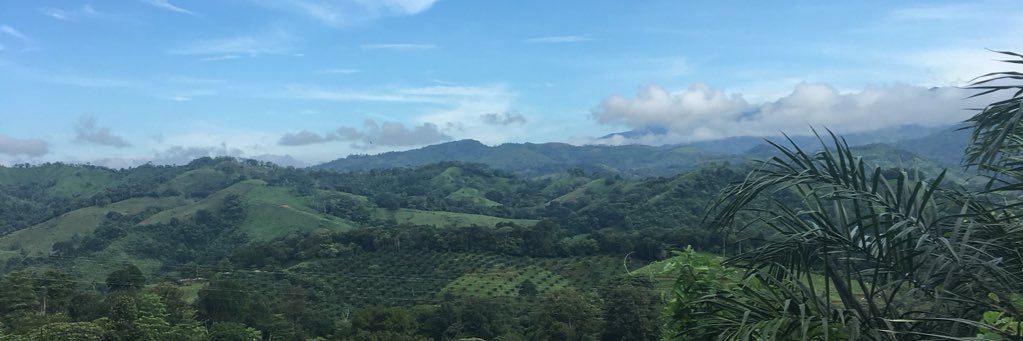 cpbenedict21's profile banner image