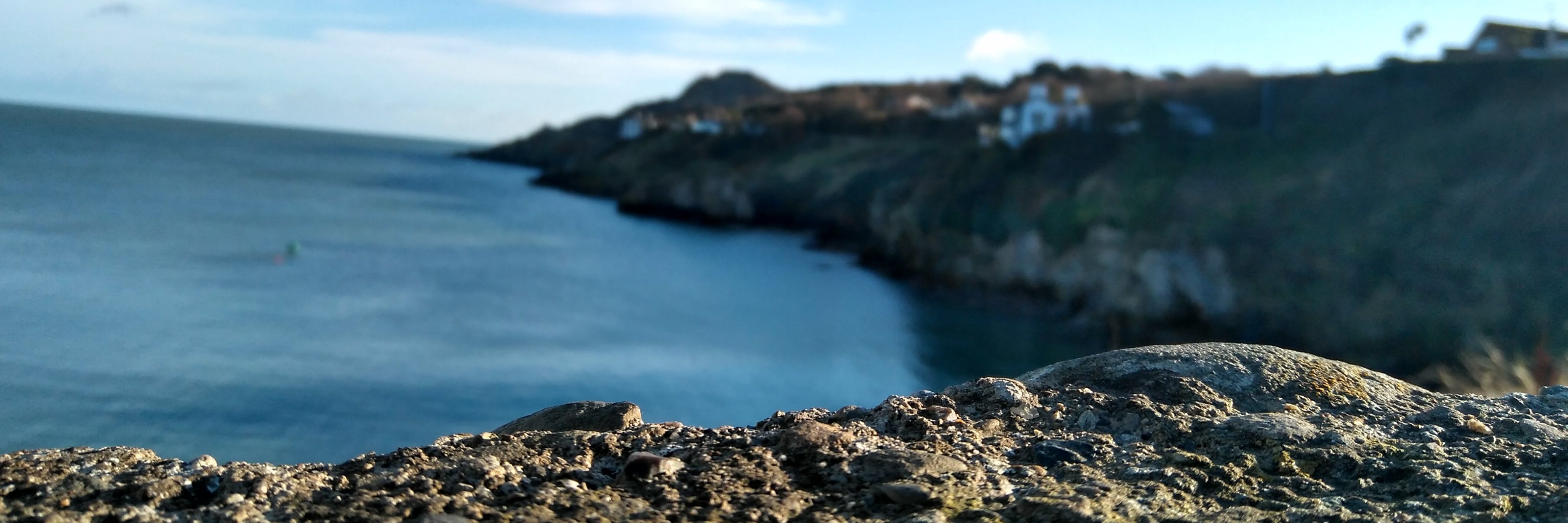 criscorcobado's profile banner image