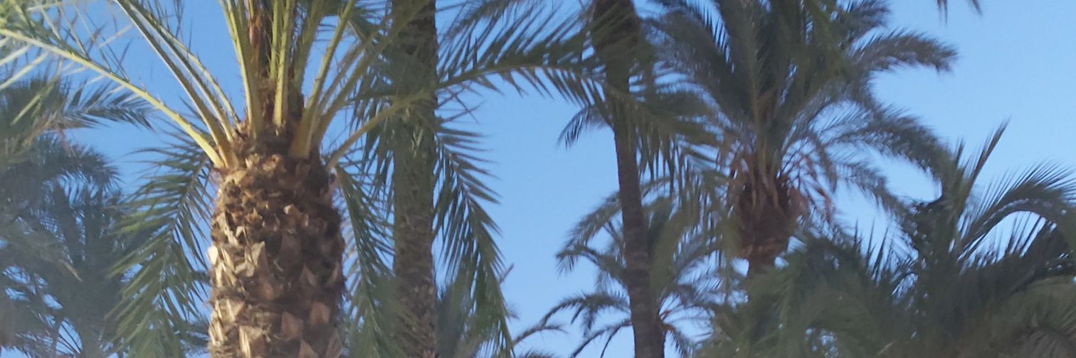 ❤ banner