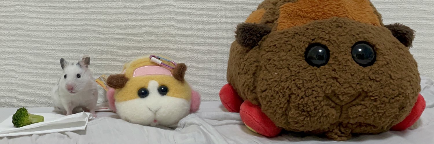 bbrgs124y's profile banner image