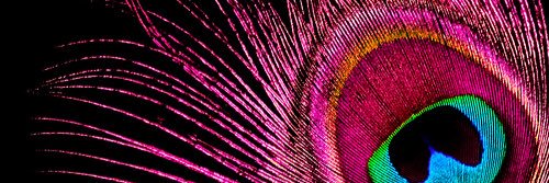juliiromeok's profile banner image