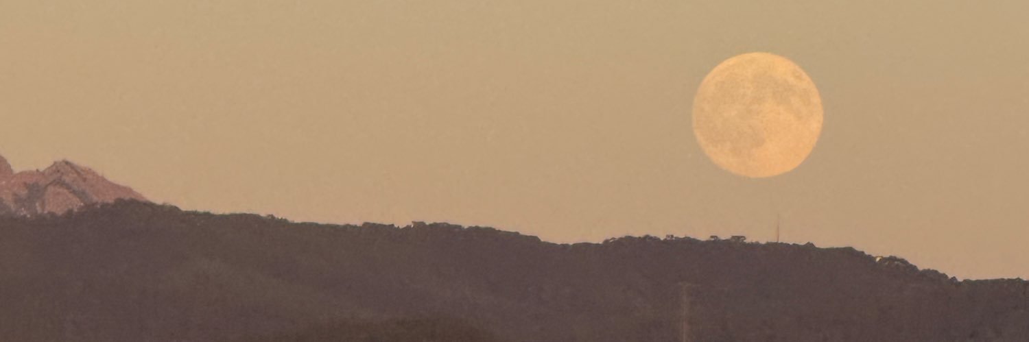 viViNs29's profile banner image