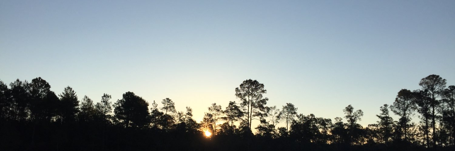 Ahlhecks's profile banner image