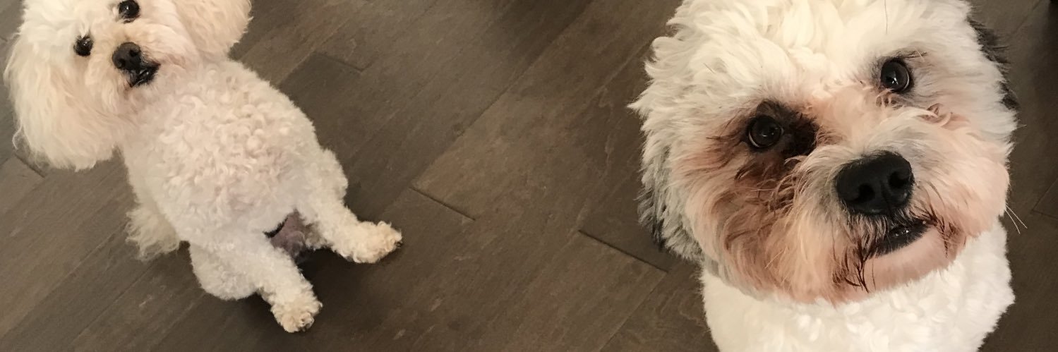 onlyONEdimple's profile banner image