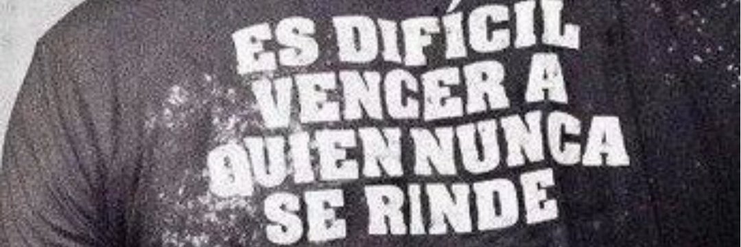 conchi_porcel's profile banner image