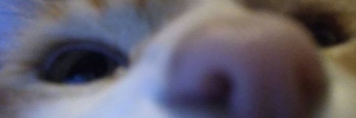 freeb1tchbb's profile banner image