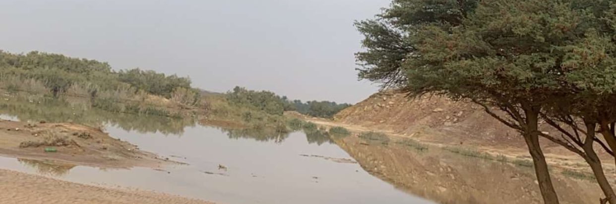 Zaidalshammary's profile banner image