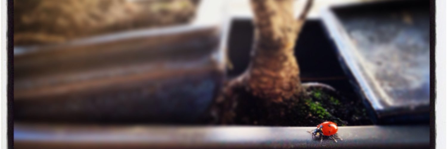 mzarembowicz's profile banner image