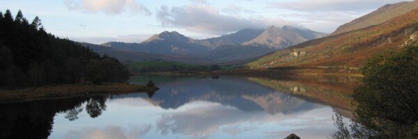 parsot Profile Banner