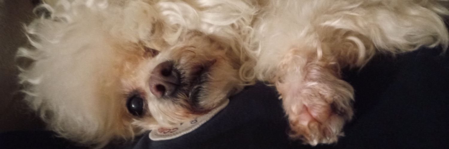 _KathyTa__'s profile banner image
