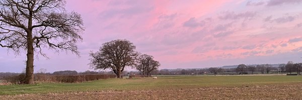 lizabbiss123 Profile Banner