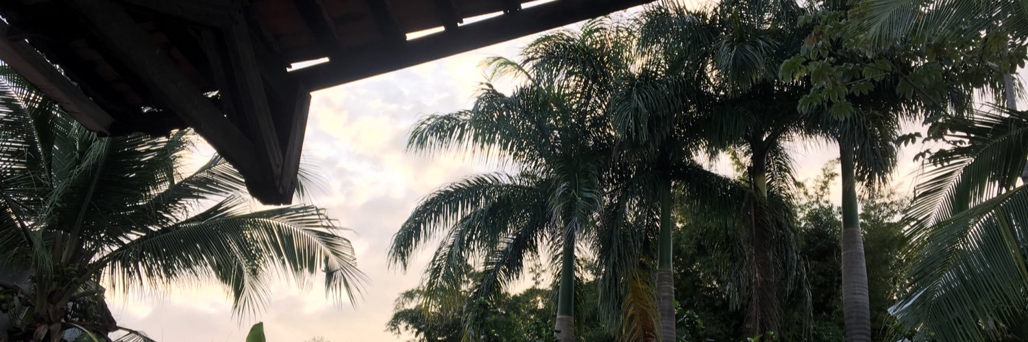 ShelSabo's profile banner image