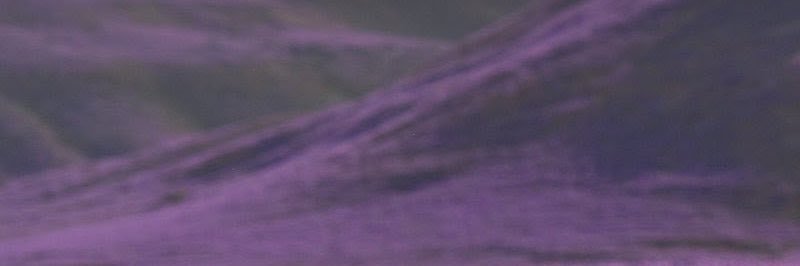 aa_b_0's profile banner image