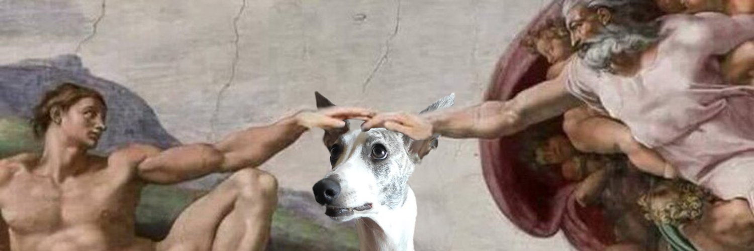 MeiraJulie's profile banner image